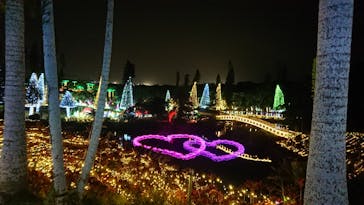美らヤシパークオキナワ・東南植物楽園に投稿された画像（2023/12/16）