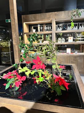 いばらきフラワーパークに投稿された画像（2023/12/16）