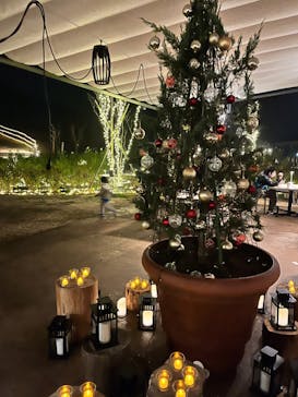 いばらきフラワーパークに投稿された画像（2023/12/16）