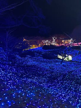 さがみ湖MORI MORIに投稿された画像（2023/12/16）