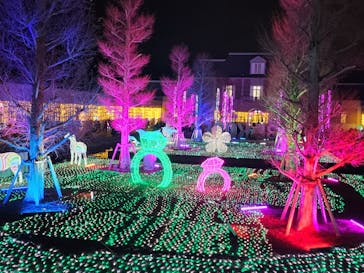 神戸イルミナージュに投稿された画像（2023/12/16）