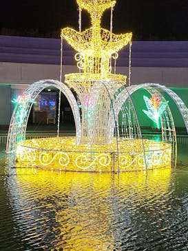 神戸イルミナージュに投稿された画像（2023/12/16）