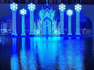 神戸イルミナージュに投稿された画像（2023/12/16）