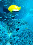 サンシャイン水族館に投稿された画像（2023/12/16）