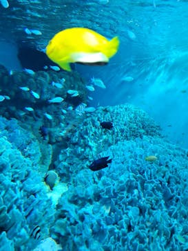 サンシャイン水族館に投稿された画像（2023/12/16）