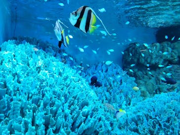 サンシャイン水族館に投稿された画像（2023/12/16）