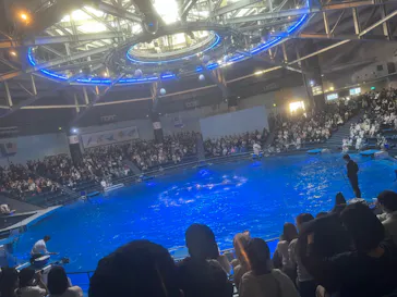 マクセル アクアパーク品川に投稿された画像（2023/12/16）