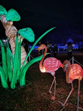 東武動物公園に投稿された画像（2023/12/16）