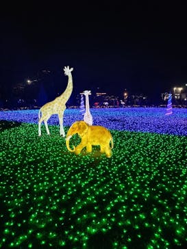 東武動物公園に投稿された画像（2023/12/16）