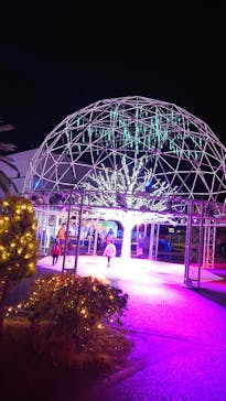 フェスタ・ルーチェに投稿された画像（2023/12/16）