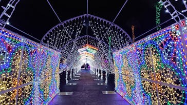 フェスタ・ルーチェに投稿された画像（2023/12/16）