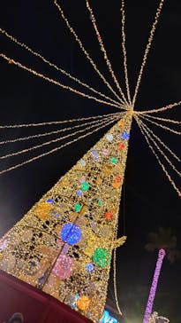 フェスタ・ルーチェに投稿された画像（2023/12/16）