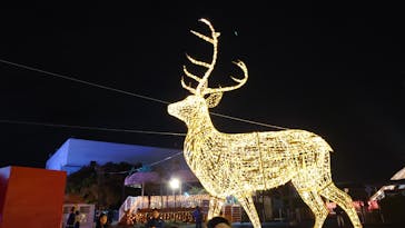 フェスタ・ルーチェに投稿された画像（2023/12/16）