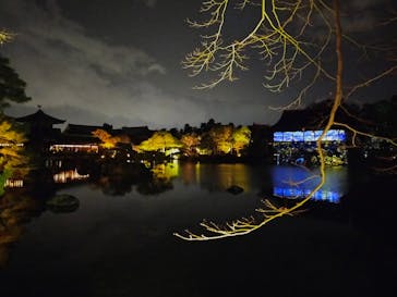 NAKEDヨルマイリ 2025-26 平安神宮に投稿された画像（2023/12/16）