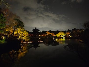 NAKEDヨルマイリ 2025-26 平安神宮に投稿された画像（2023/12/16）