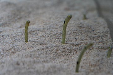 AOAO SAPPOROに投稿された画像（2023/12/16）