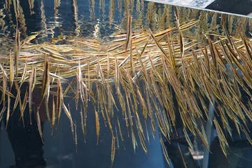 AOAO SAPPOROに投稿された画像（2023/12/16）