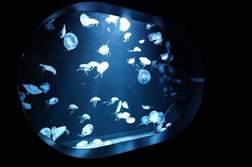 AOAO SAPPOROに投稿された画像（2023/12/16）