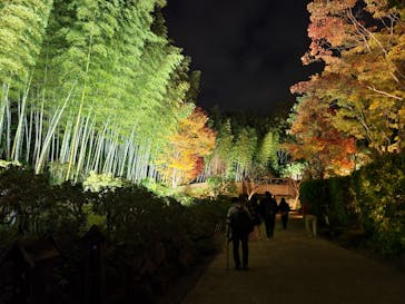 国営昭和記念公園 秋の夜散歩に投稿された画像（2023/12/16）