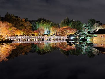 国営昭和記念公園 秋の夜散歩に投稿された画像（2023/12/16）