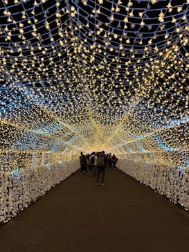 東京メガイルミに投稿された画像（2023/12/16）