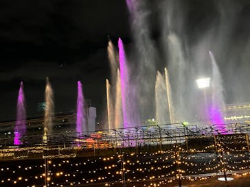 東京メガイルミに投稿された画像（2023/12/16）