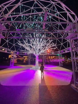 フェスタ・ルーチェに投稿された画像（2023/12/16）