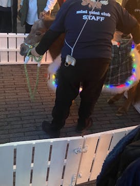 東京メガイルミに投稿された画像（2023/12/16）