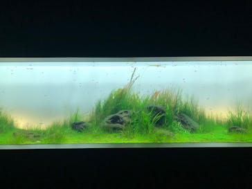 AOAO SAPPOROに投稿された画像（2023/12/16）