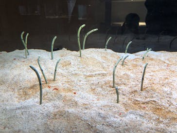 AOAO SAPPOROに投稿された画像（2023/12/16）