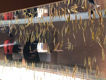 AOAO SAPPOROに投稿された画像（2023/12/16）