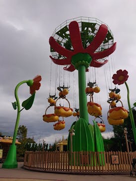 鈴鹿サーキットに投稿された画像（2023/12/16）