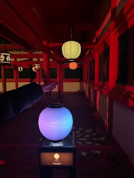 NAKEDヨルマイリ 2025-26 平安神宮に投稿された画像（2023/12/16）