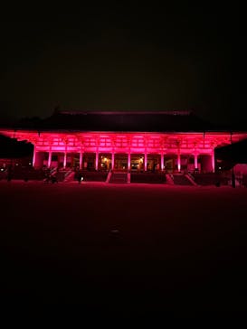 NAKEDヨルマイリ 2025-26 平安神宮に投稿された画像（2023/12/16）