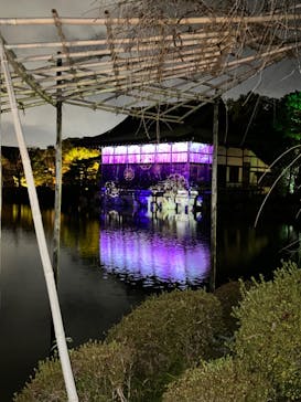 NAKEDヨルマイリ 2025-26 平安神宮に投稿された画像（2023/12/16）