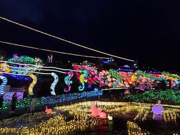 伊豆ぐらんぱる公園に投稿された画像（2023/12/16）