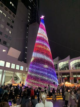梅田スカイビル・空中庭園展望台に投稿された画像（2023/12/16）