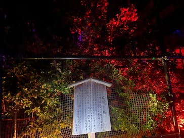 NAKEDヨルマイリ 2025-26 平安神宮に投稿された画像（2023/12/16）