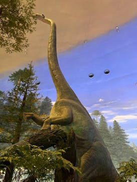 福井県立恐竜博物館に投稿された画像（2023/12/16）