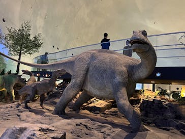 福井県立恐竜博物館に投稿された画像（2023/12/16）