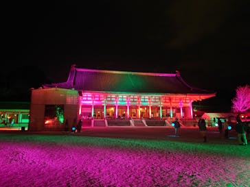 NAKEDヨルマイリ 2025-26 平安神宮に投稿された画像（2023/12/17）