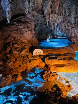 おきなわワールドに投稿された画像（2023/12/17）