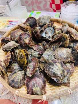 おきなわワールドに投稿された画像（2023/12/17）