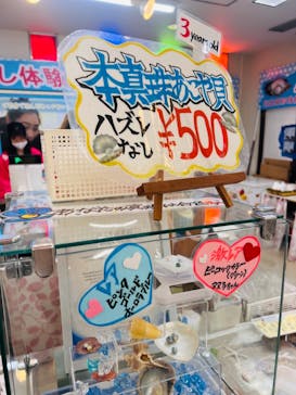 おきなわワールドに投稿された画像（2023/12/17）