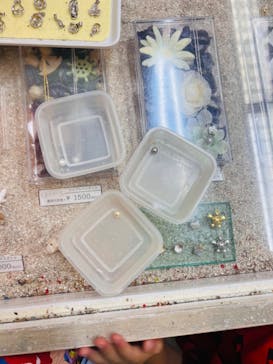 おきなわワールドに投稿された画像（2023/12/17）