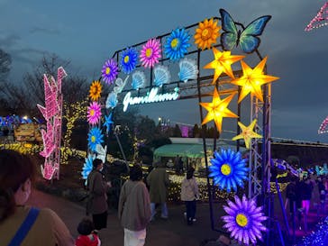 伊豆ぐらんぱる公園に投稿された画像（2023/12/17）