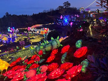 伊豆ぐらんぱる公園に投稿された画像（2023/12/17）