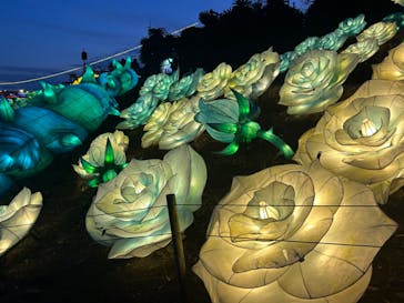 伊豆ぐらんぱる公園に投稿された画像（2023/12/17）