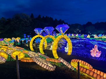 伊豆ぐらんぱる公園に投稿された画像（2023/12/17）