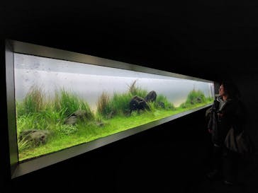 AOAO SAPPOROに投稿された画像（2023/12/17）